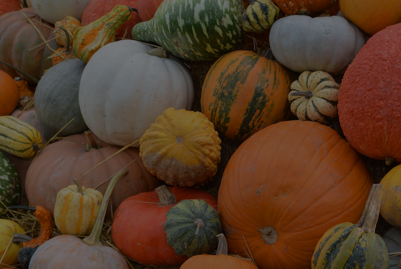 Fun Ways to Incorporate Pumpkins and Gourds into Your Fall Lineup