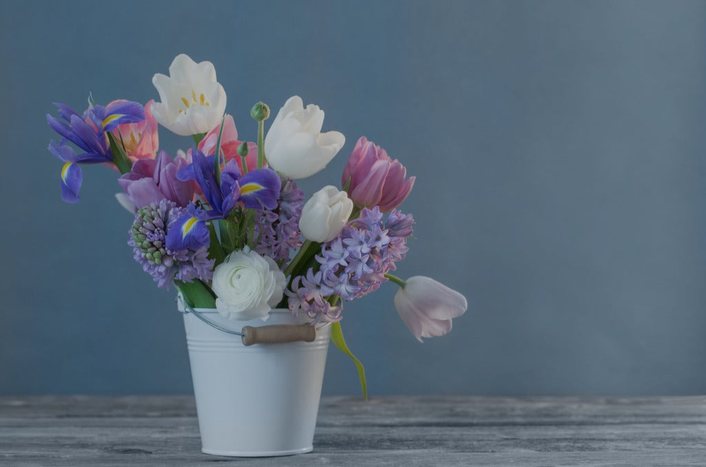 White tulips, light purple hyacinth, and other spring flowers in a white pot with a blue background