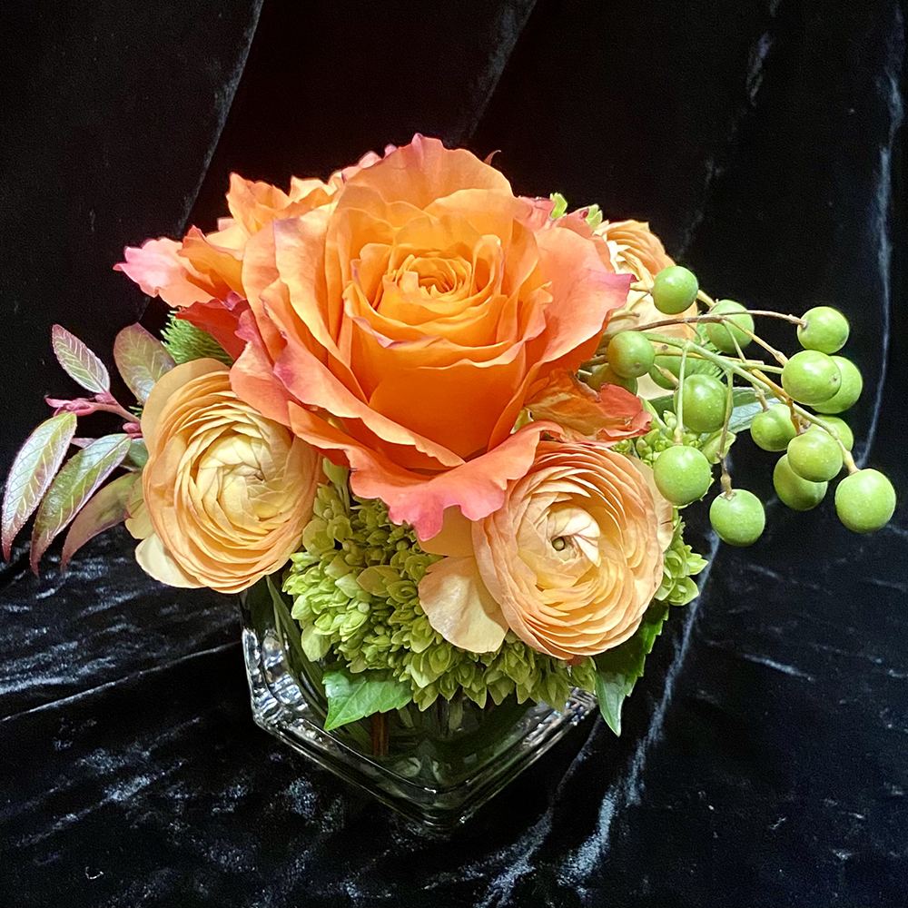 Dainty Daisy Bouquet, Freesia & Hyacinth