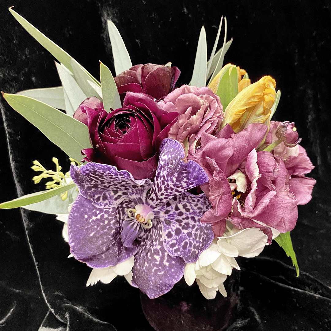 IMG_3967_1080x.png?v=1769362787