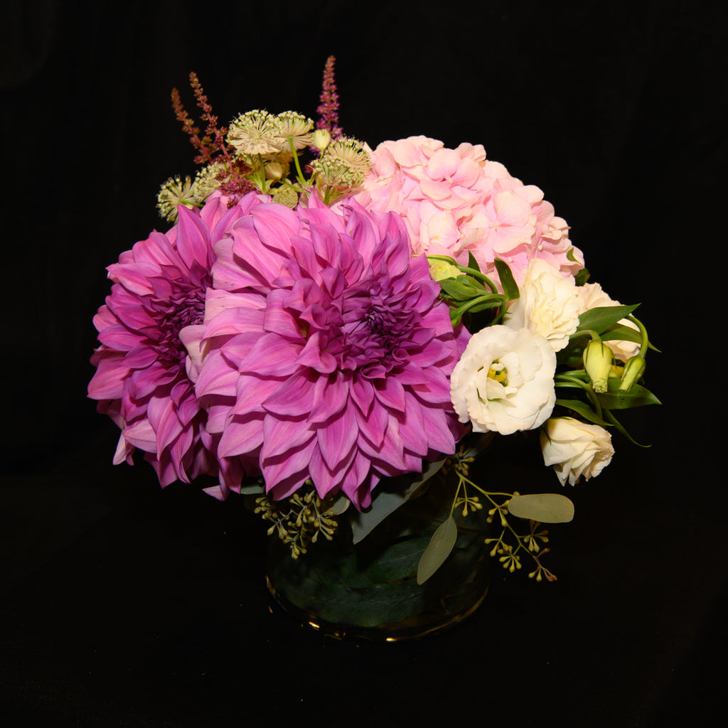 Mayflowers_220921_web-